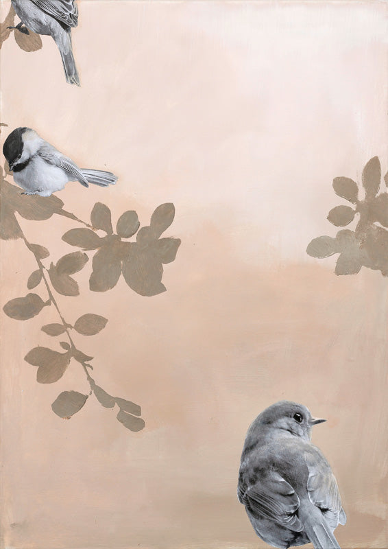 Bird 2 – Empty Studios