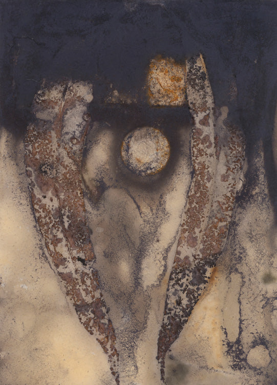 Shannon Voss