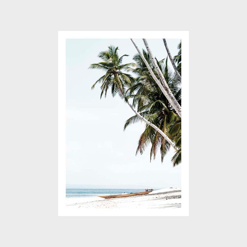 Photography - Tropical Prints