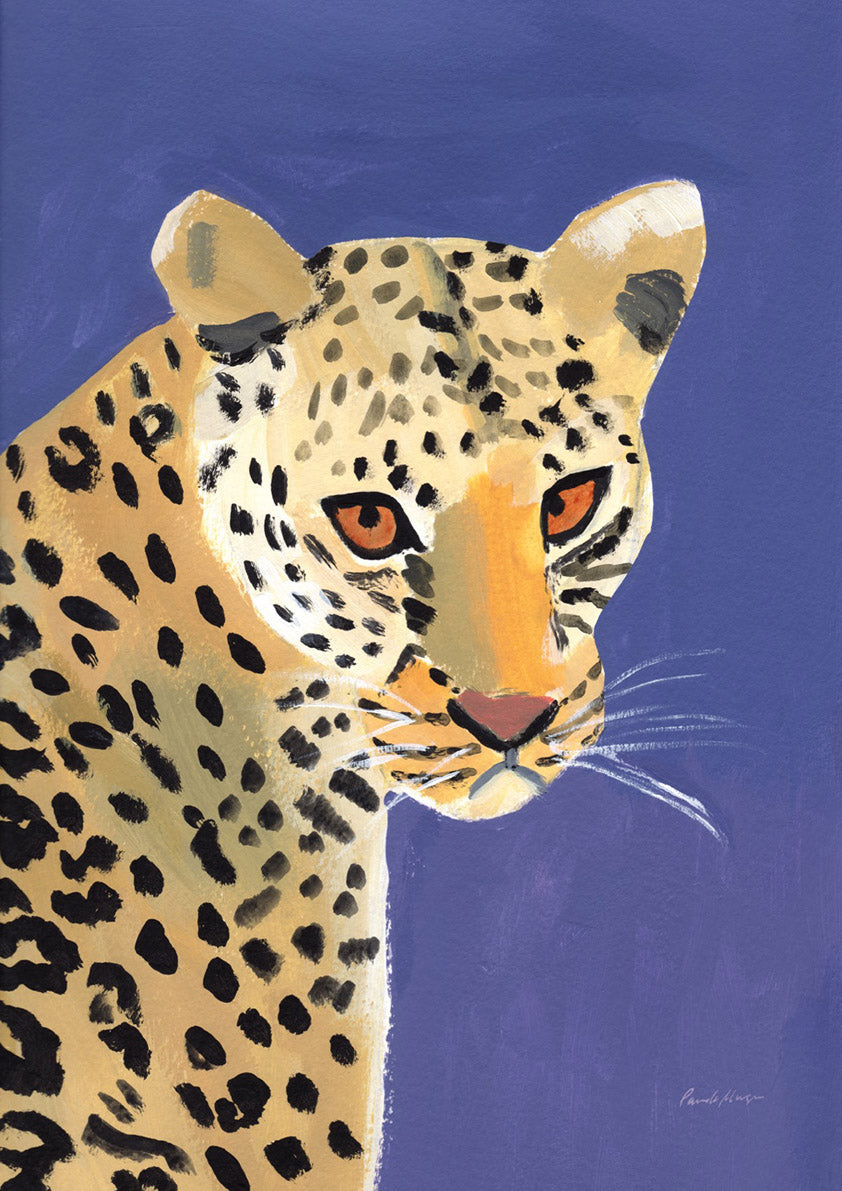 Colourful Cheetah
