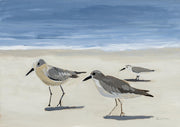 Pipers II