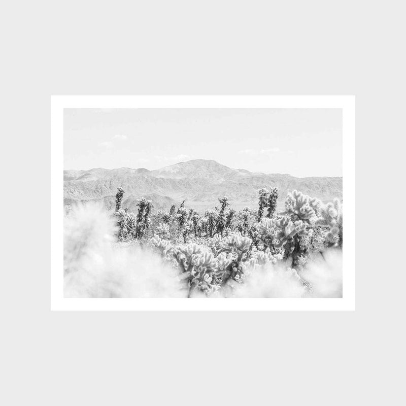 Desert Walk 1 Art Print