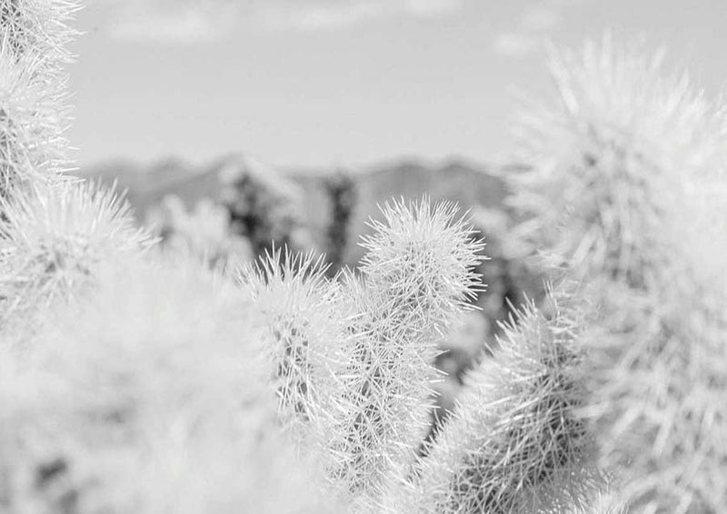 Desert Walk 2 Canvas Wall Art