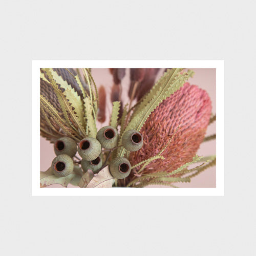 Banksia 4 Art Print