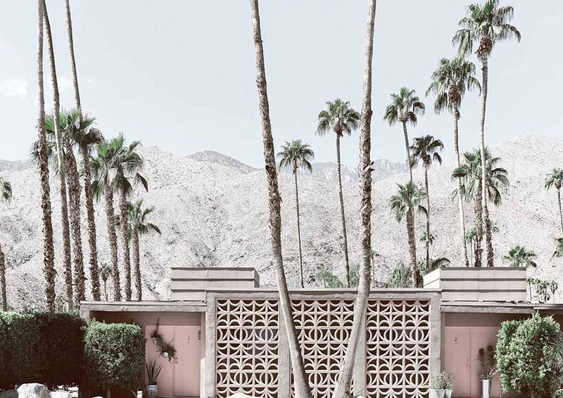 Palm Springs 1 Canvas Wall Art