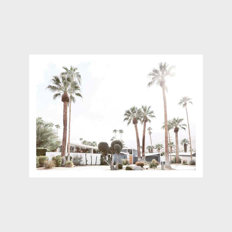 Palm Springs 6 Art Print