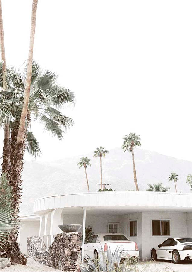 Palm Springs 7 Canvas Wall Art