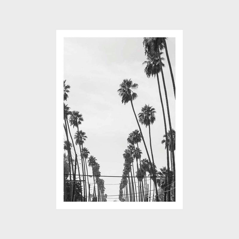 USA Palm 1 Art Print