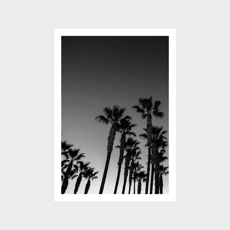 USA Palm 5 Art Print