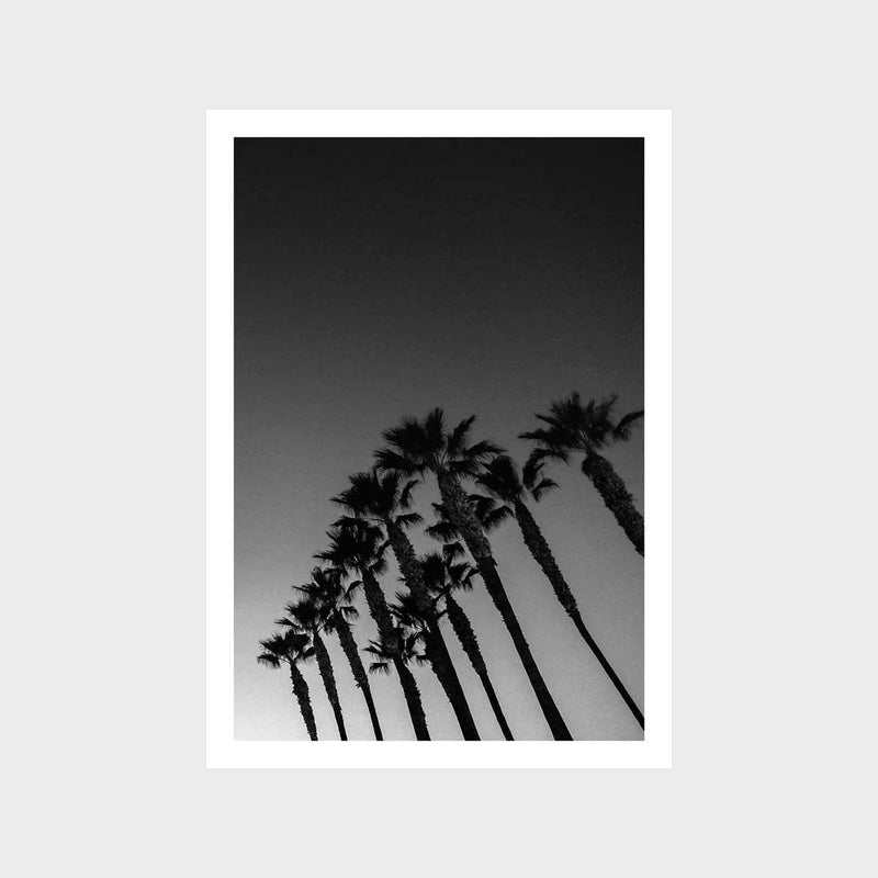 USA Palm 6 Art Print