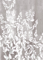 Calmness Botanical 1