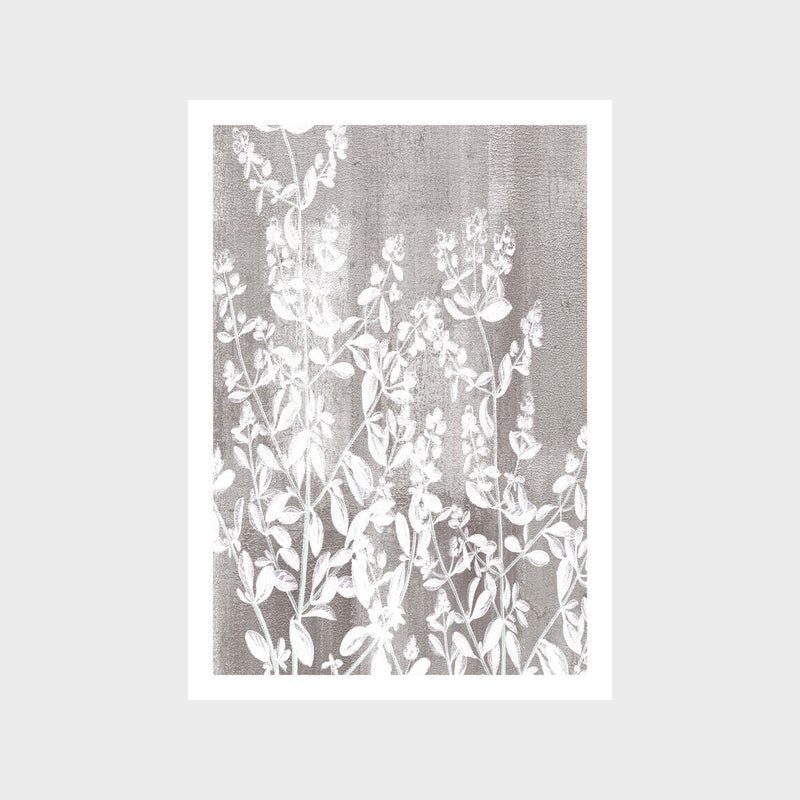 Calmness Botanical 1 Art Print