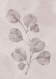 Spotted Gum Calm 3