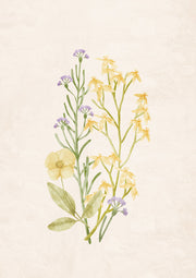 Wildflowers 1