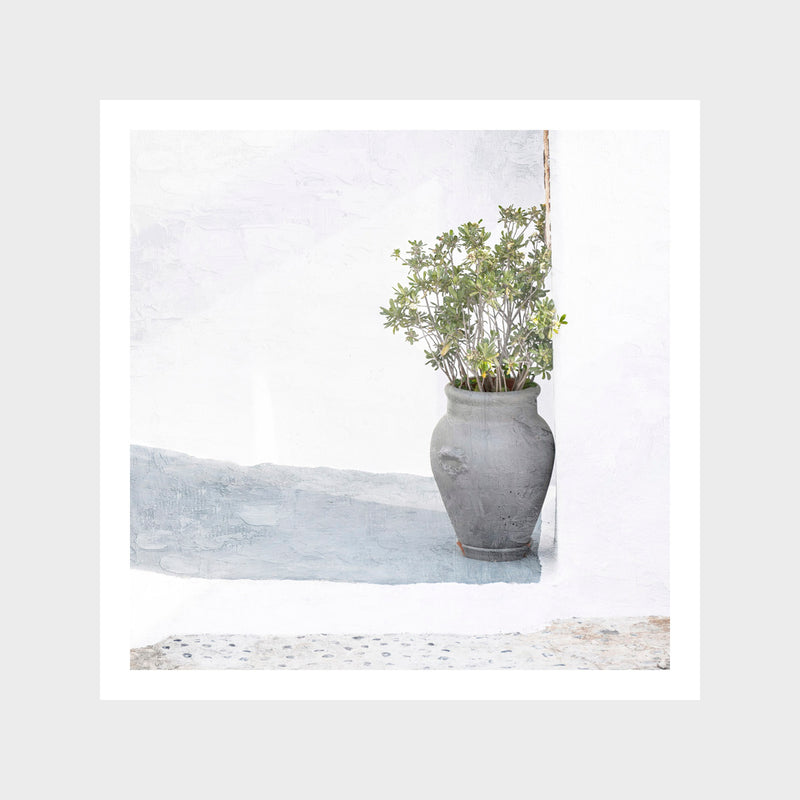 Corner Plant Art Print