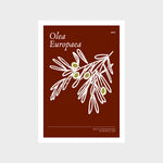 Olives Art Print