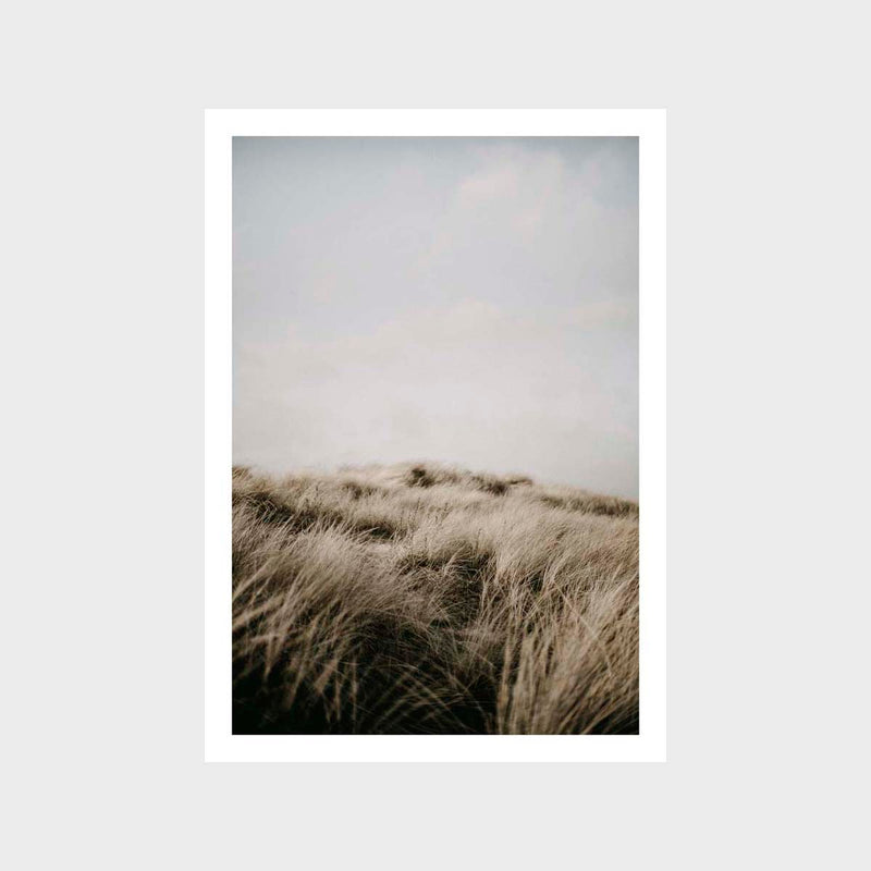 Beachgrass Hill Art Print