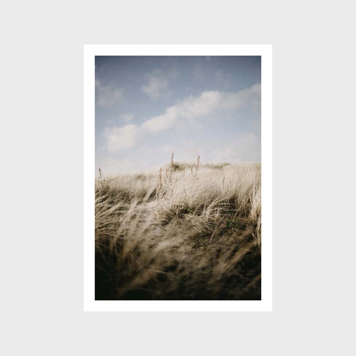 Beachgrass Hill Sky Art Print