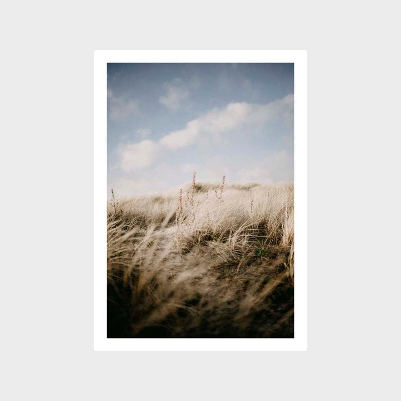 Beachgrass Hill Sky Art Print