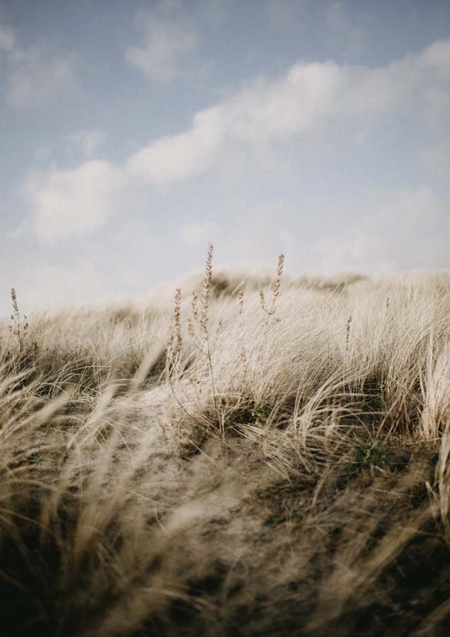 Beach Grass Hill Sky Canvas Wall Art