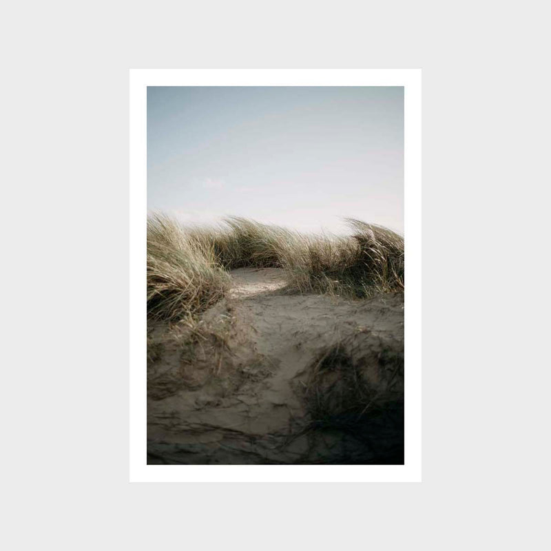 Beachgrass Sand Art Print