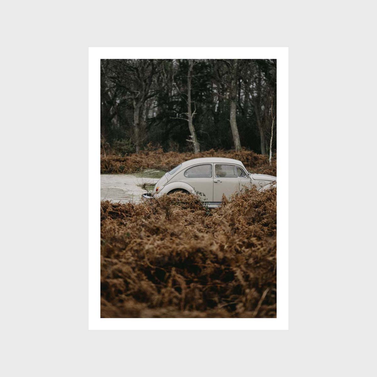 Beetle Side Art Print