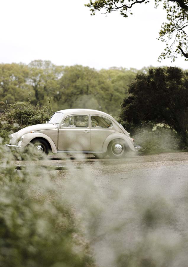 Beetle Side Garden Canvas Wall Art