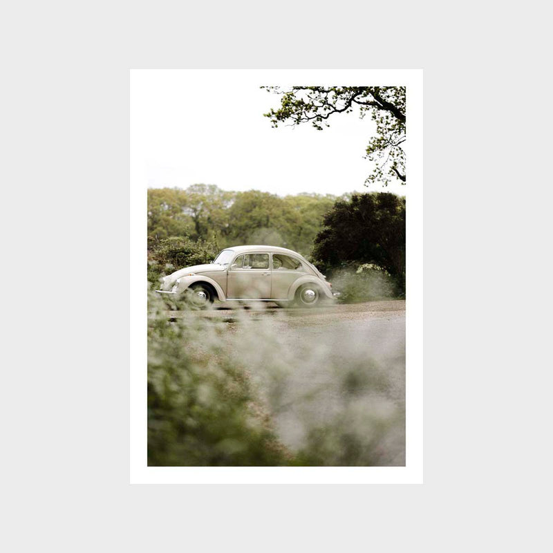 Beetle Side Garden Art Print