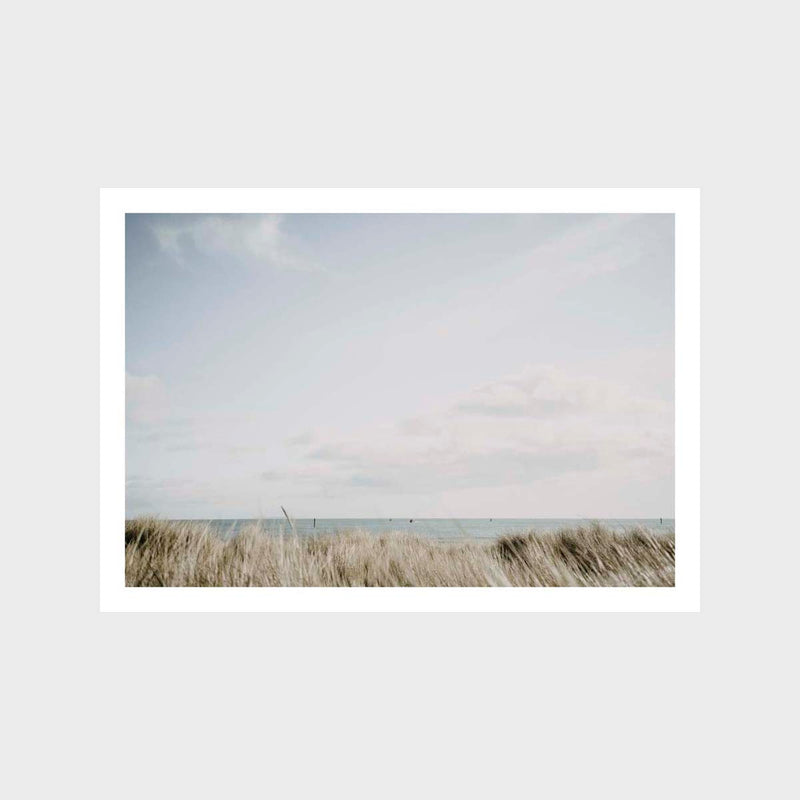 Grass Ocean Art Print