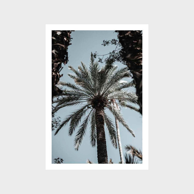 Palm Full Soft Art Print