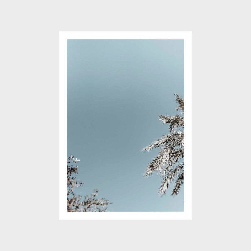 Palm RHS Soft Art Print