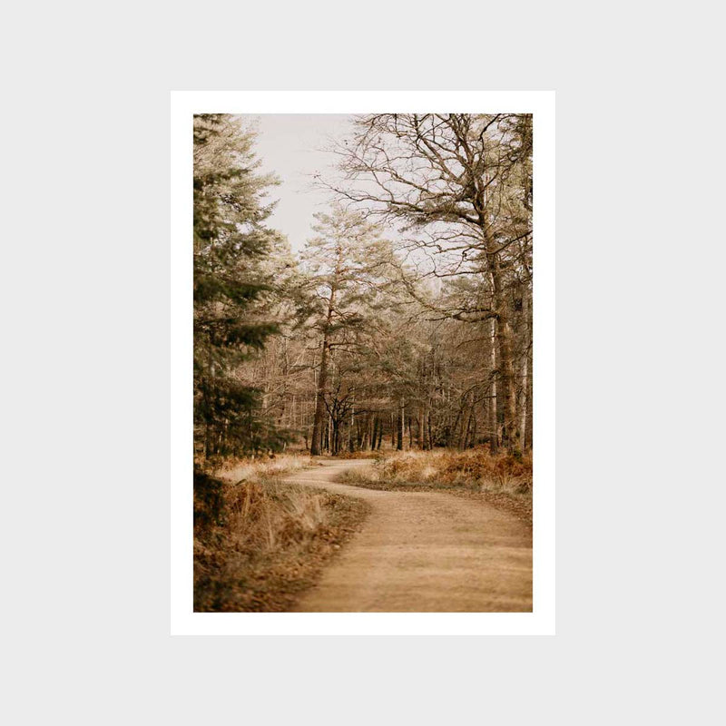 Road Autumn Art Print