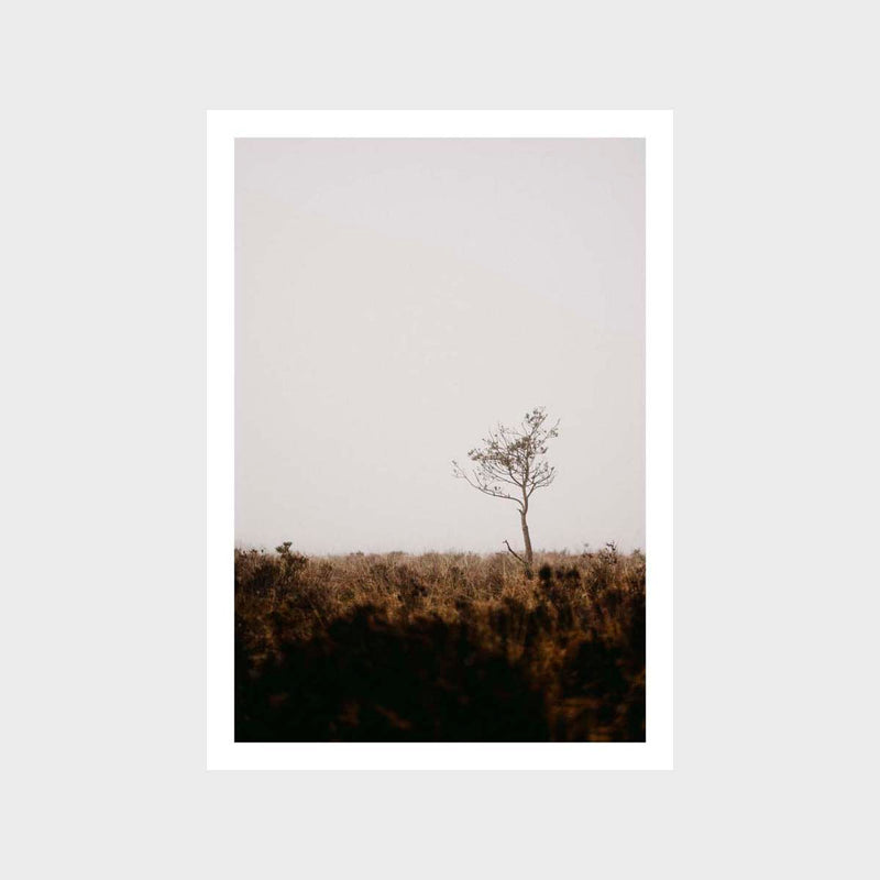 Tree Lone Art Print