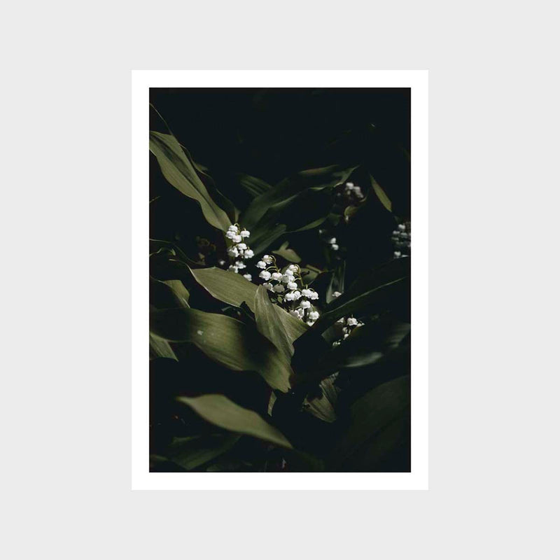 Botanical Bellflower 1 Art Print