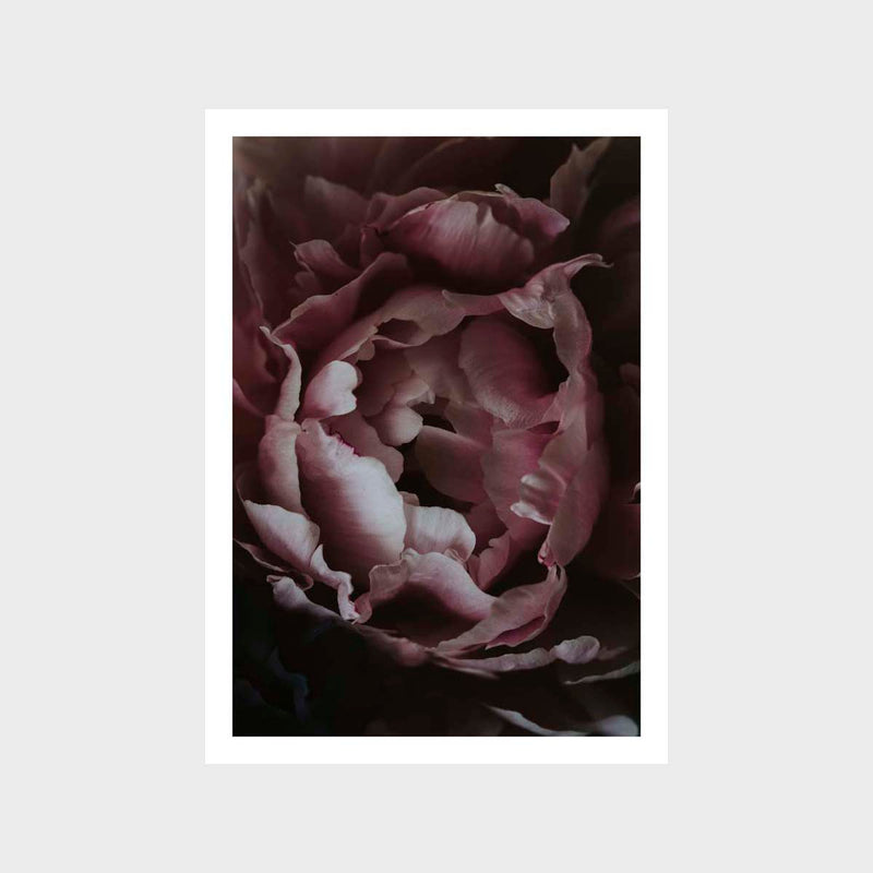 Botanical Bloom Art Print