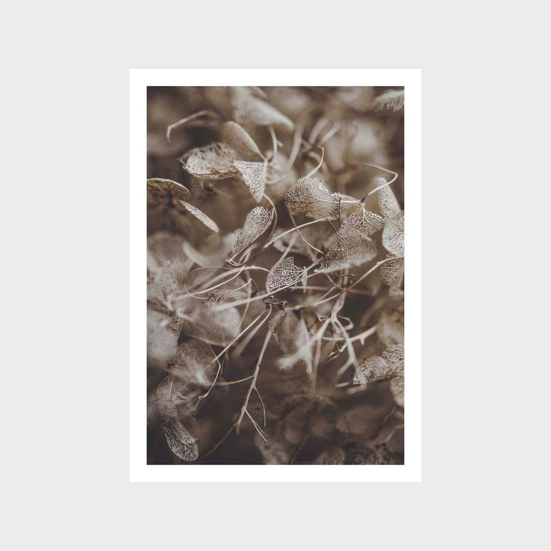 Botanical Hydrangea Decay 1 Art Print