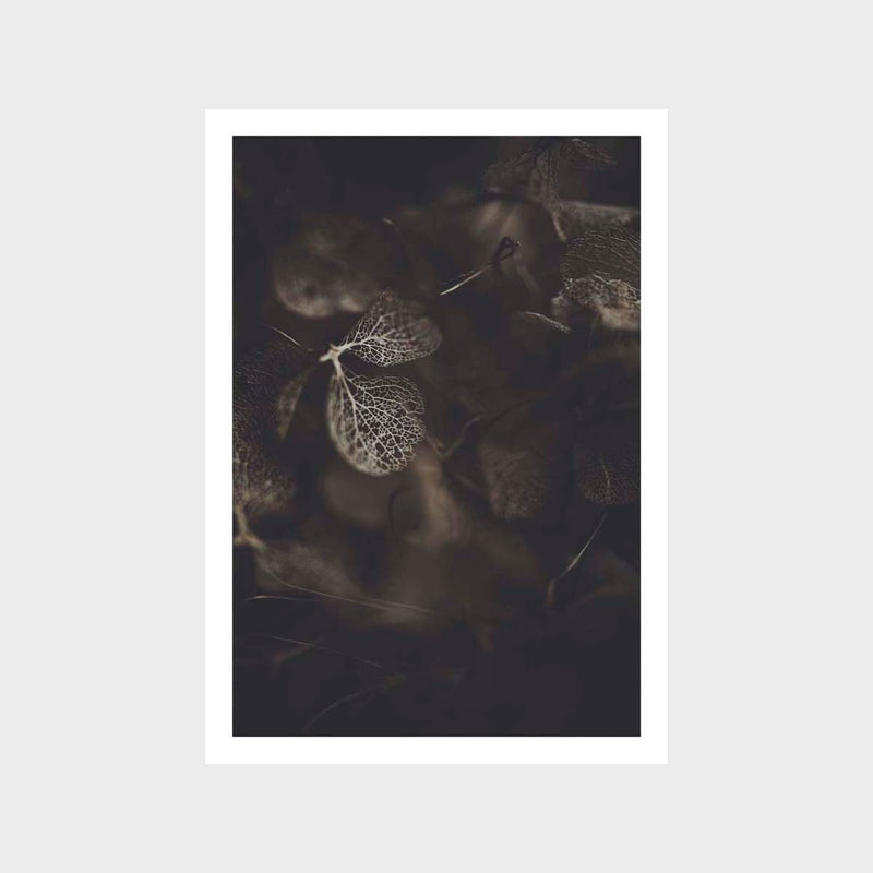 Botanical Hydrangea Decay 3 Art Print