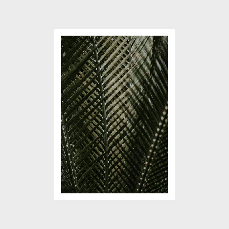 Botanical Leaf Closeup Palm Art Print