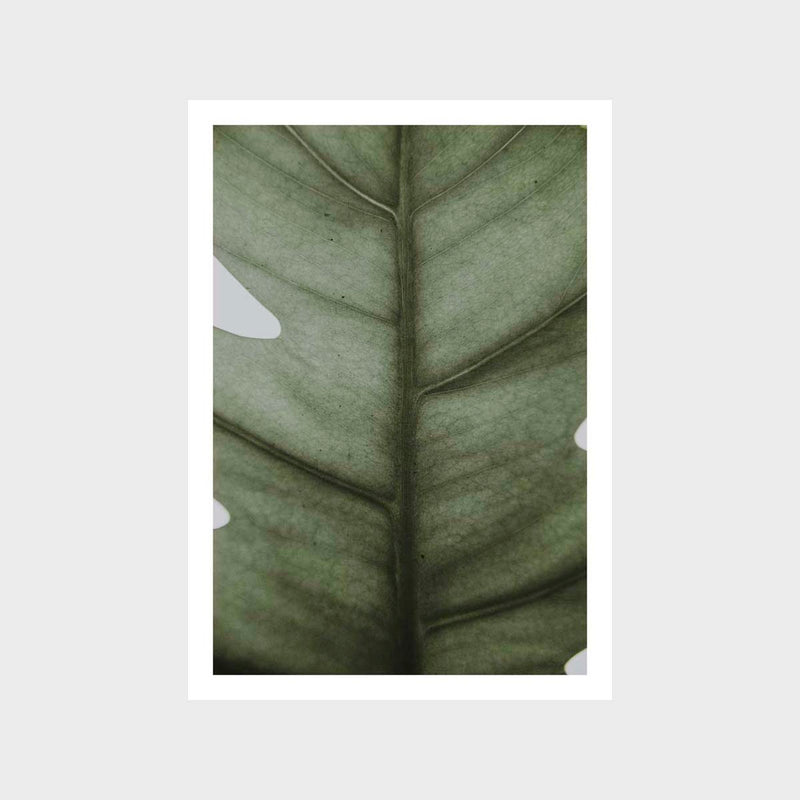 Botanical Leaf Flat 1 Art Print