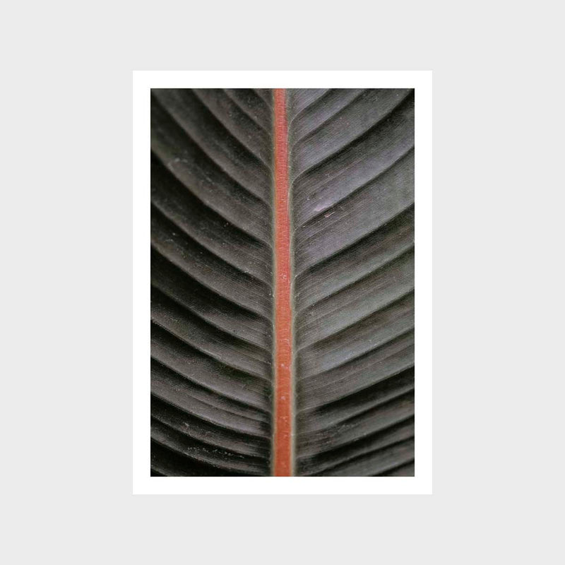 Botanical Leaf Flat 4 Art Print