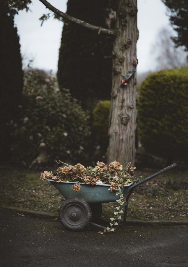 Garden Wheelbarrow Canvas Wall Art