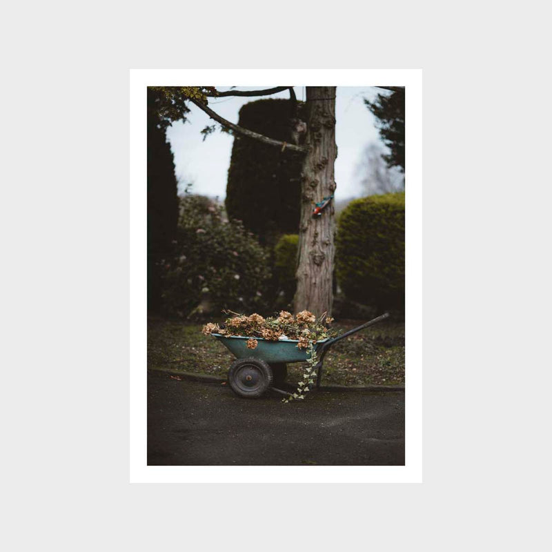 Garden Wheelbarrow Art Print