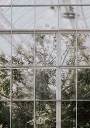 Green House 1
