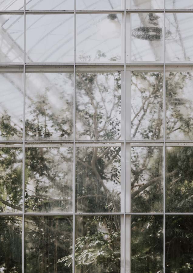 Green House 1
