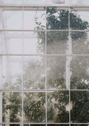 Green House 2