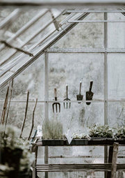 Green House 3