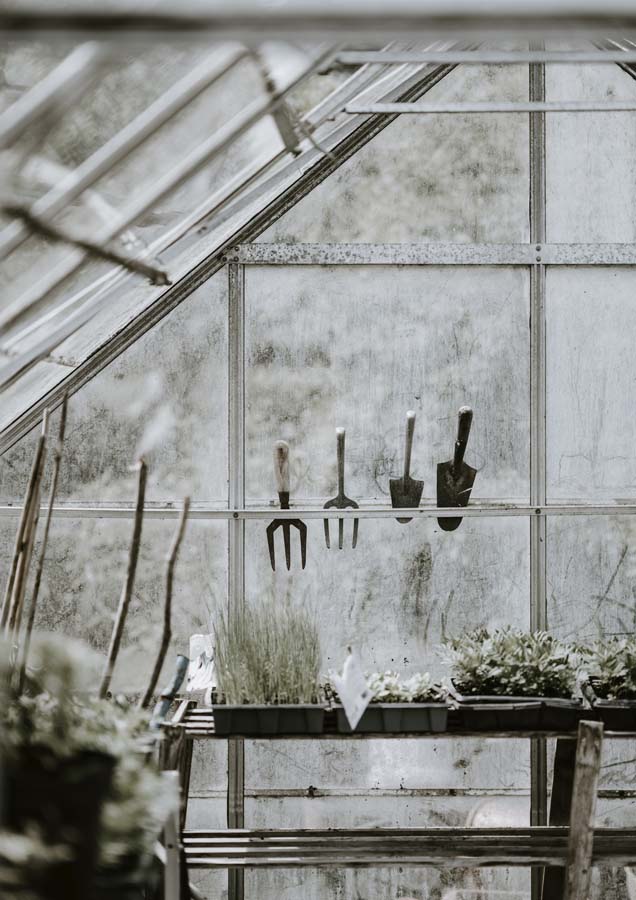 Green House 3