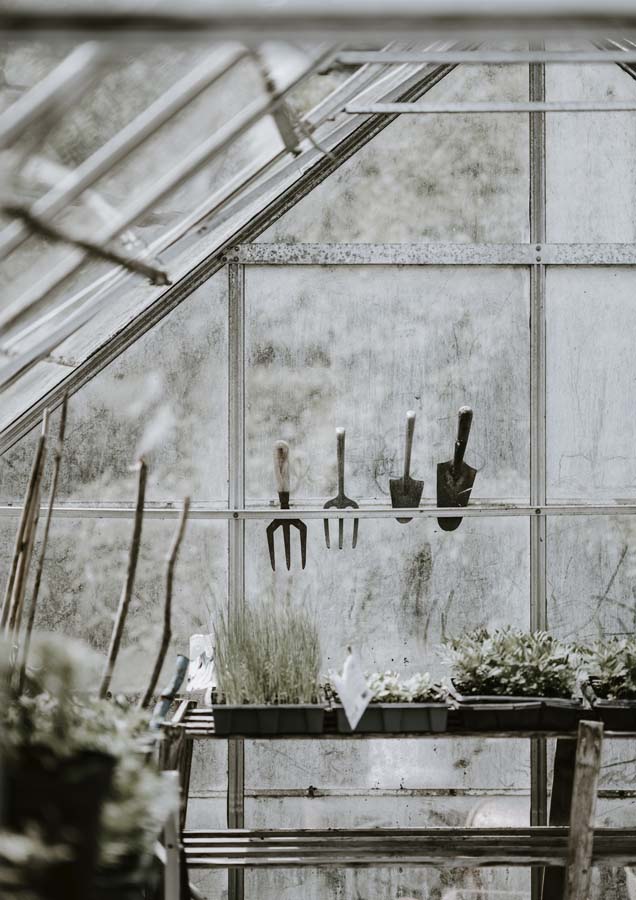 Greenhouse 3 Canvas Wall Art