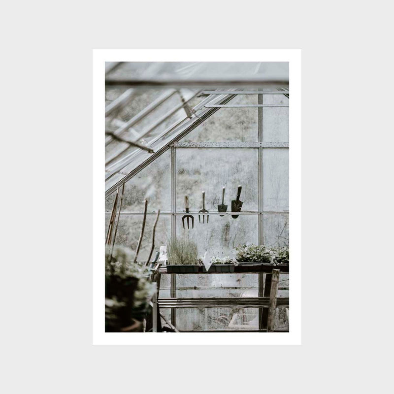 Greenhouse 3 Art Print