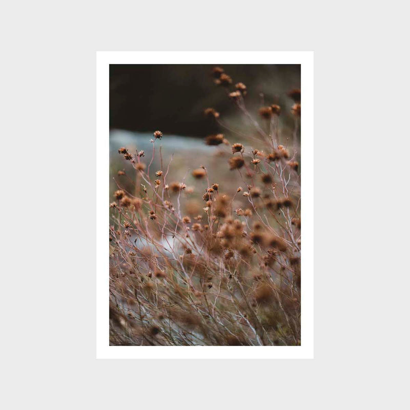 Grass Rust 1 Art Print